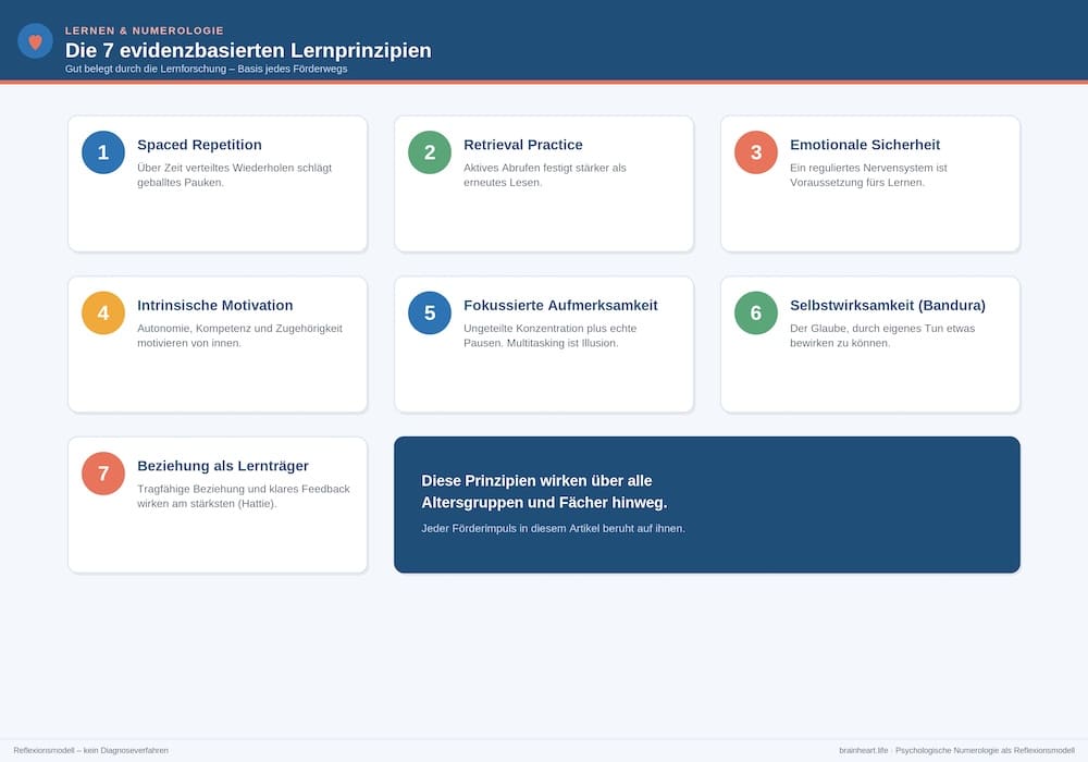 03_lernprinzipien Lernprinzipien