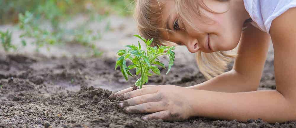Lebenszahl 33/6 Kinder: Kind setzt Pflanze ein